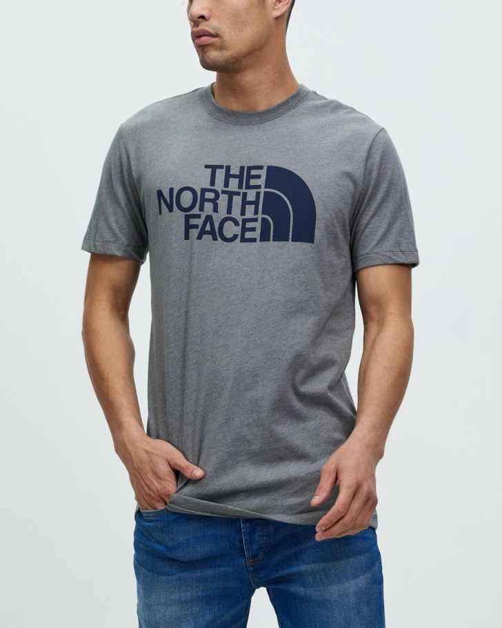 T-shirt Demi-dôme Gris Ss The North Face