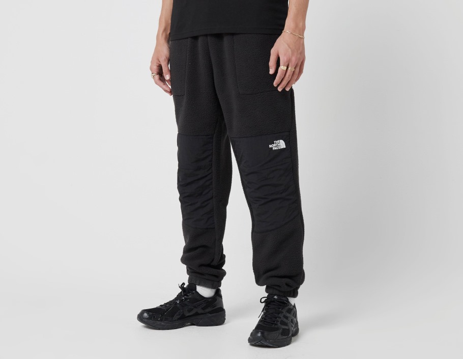 Pantalon Denali The North Face Noir