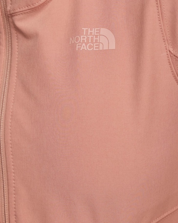 Schelbe Raschel Sweat à Capuche Rose Aube La Face Nord