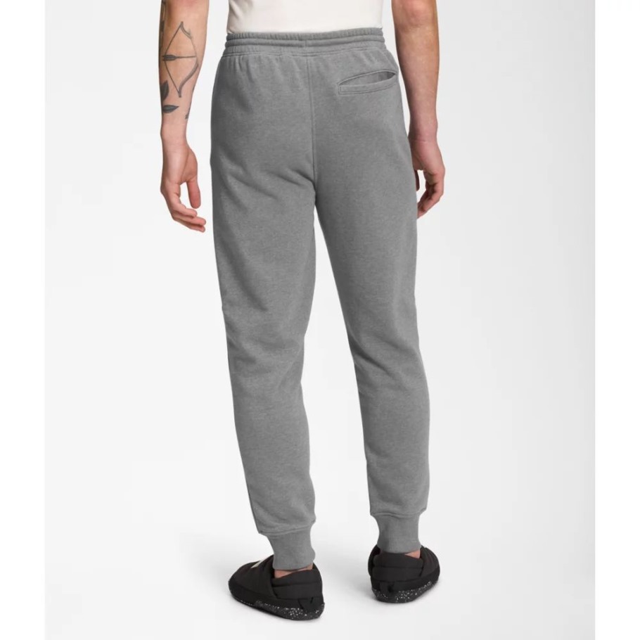 Pantalon De Jogging Box Nse Homme Gris The North Face
