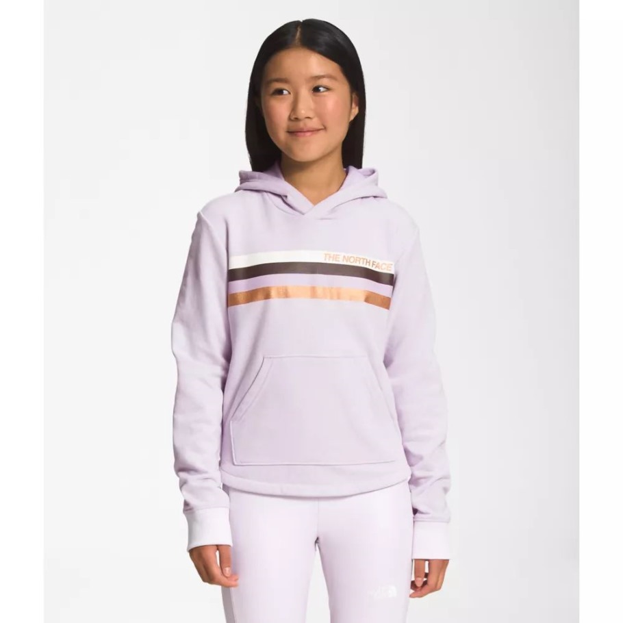 Brouillard Lavande The North Face Filles Camp Polaire Pull à Capuche