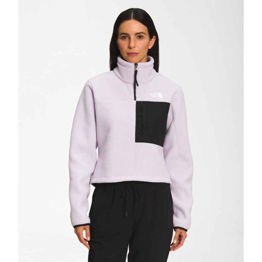 Lavande Brouillard Femmes Denali Pull The North Face