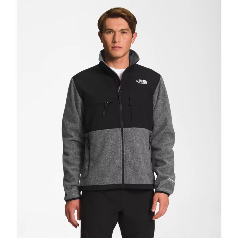 Veste Denali Homme The North Face Gris