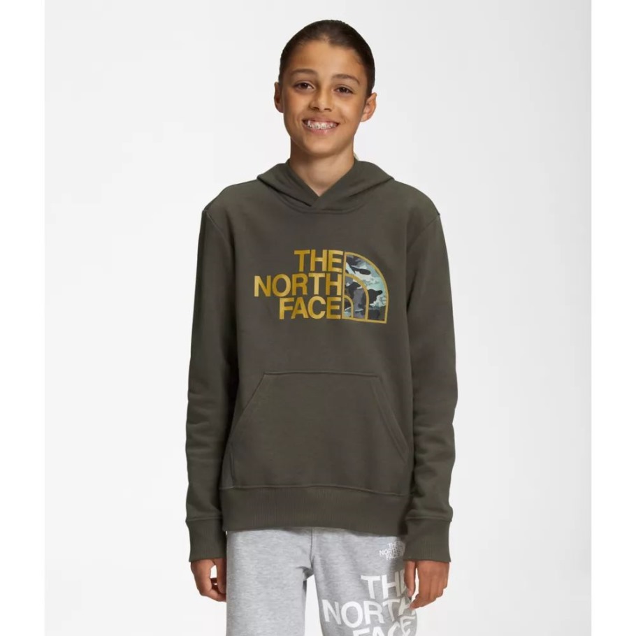 Nouveau Sweat à Capuche Molletonné Camp Garçons Vert Taupe The North Face