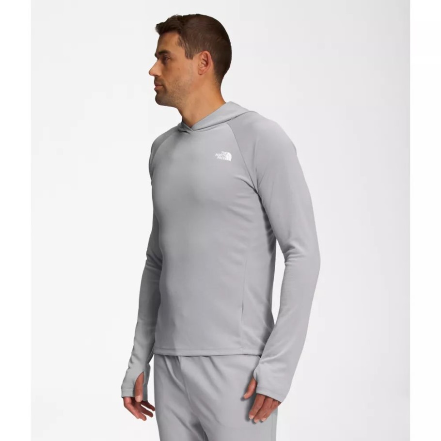 Sweat à Capuche The North Face Homme Gris Wander Sun