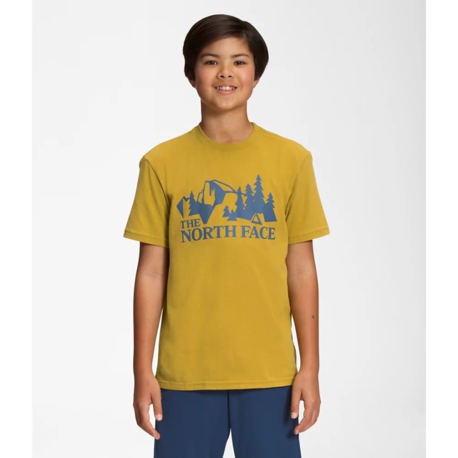 T-shirt Graphique à Manches Courtes Pour Garçons The North Face Mineral Gold