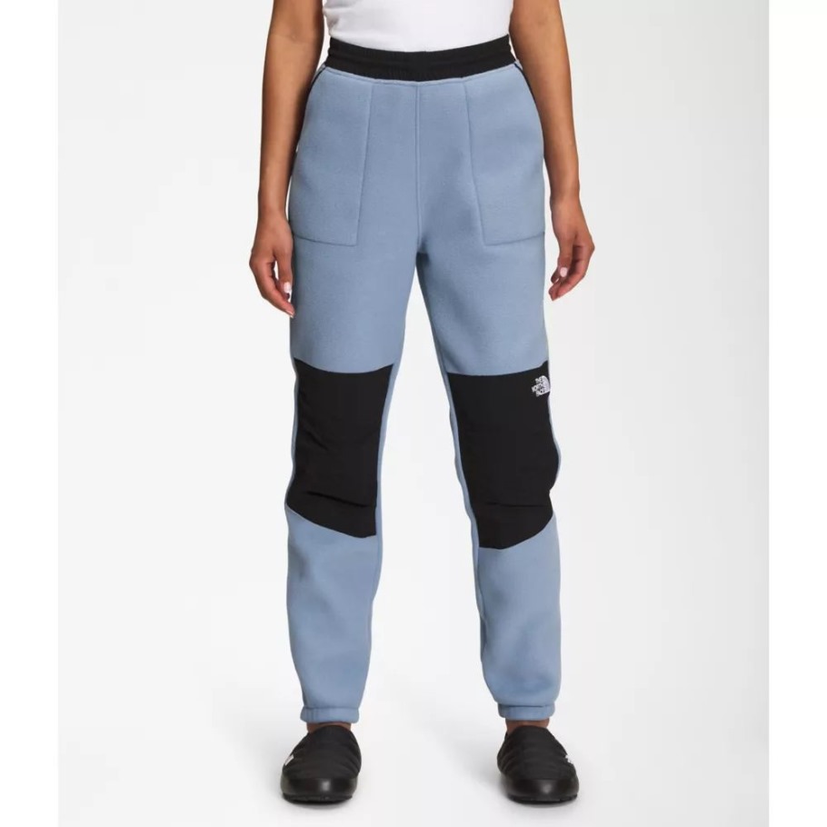 Pantalon Femme Denali Bleu Folk The North Face