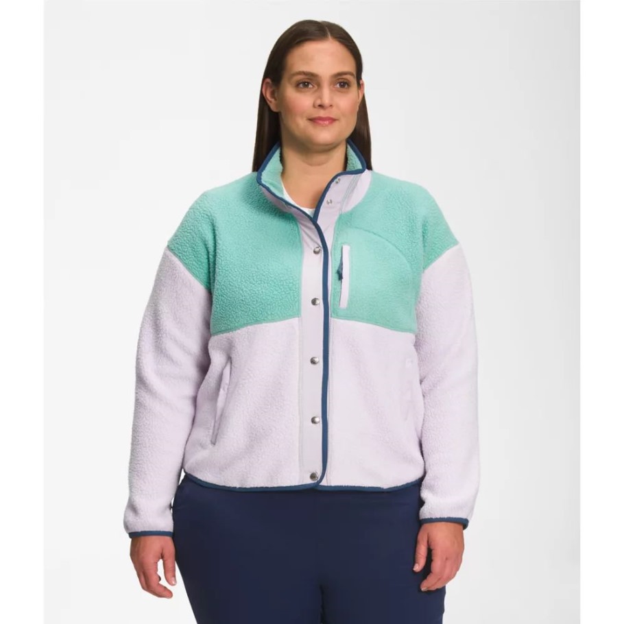 Veste Polaire Femme Plus Cragmont The North Face Wasabi