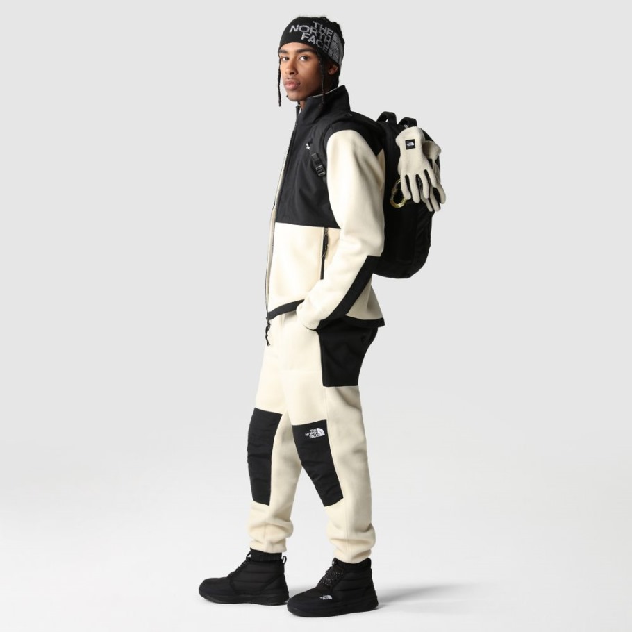 Pantalon Denali Homme Gravel The North Face