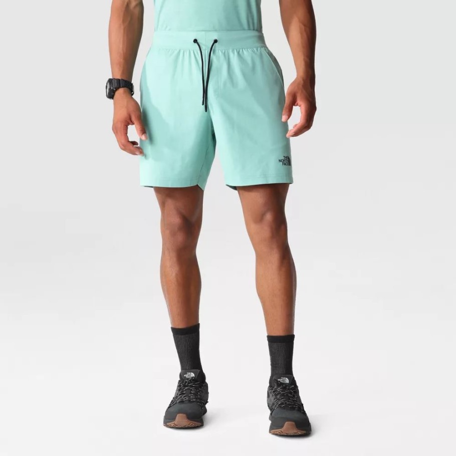 Les Hommes Réduisent Les Shorts The North Face Wasabi