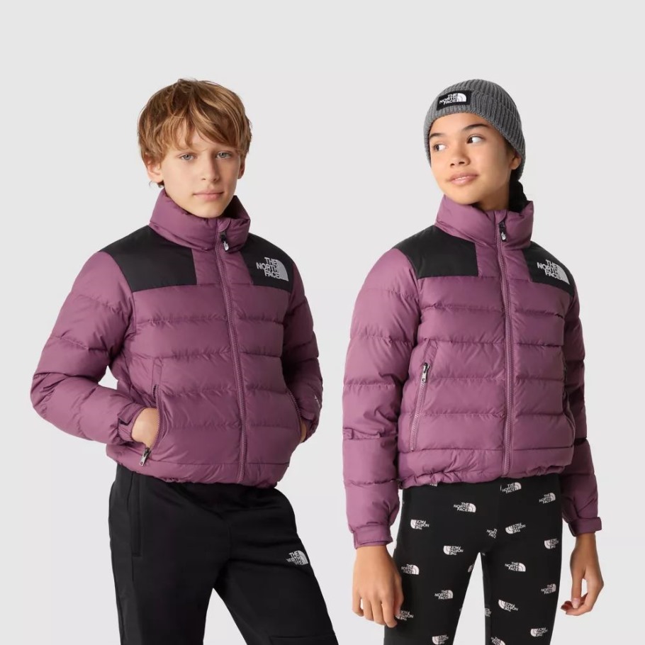 Veste Massif Jeunesse Brochets Violet The North Face