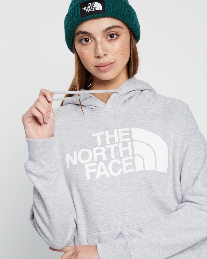 The North Face Sweat à Capuche Demi-dôme Gris Neuf
