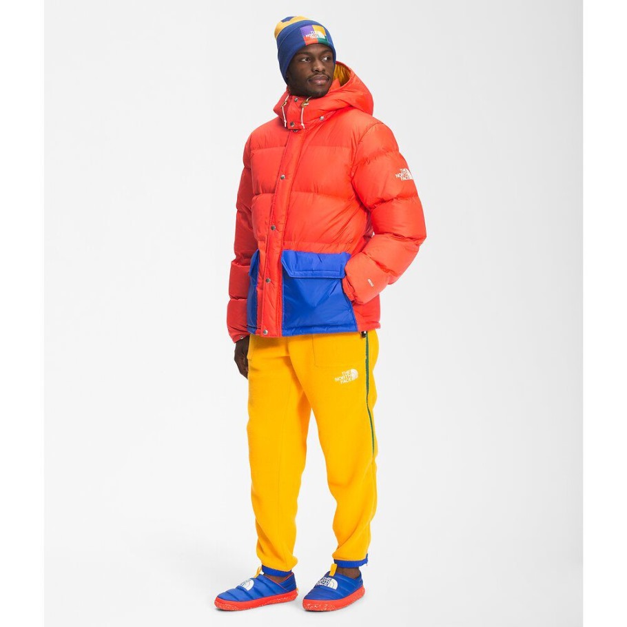Parka Sierra Flare Pour Hommes Color Block The North Face