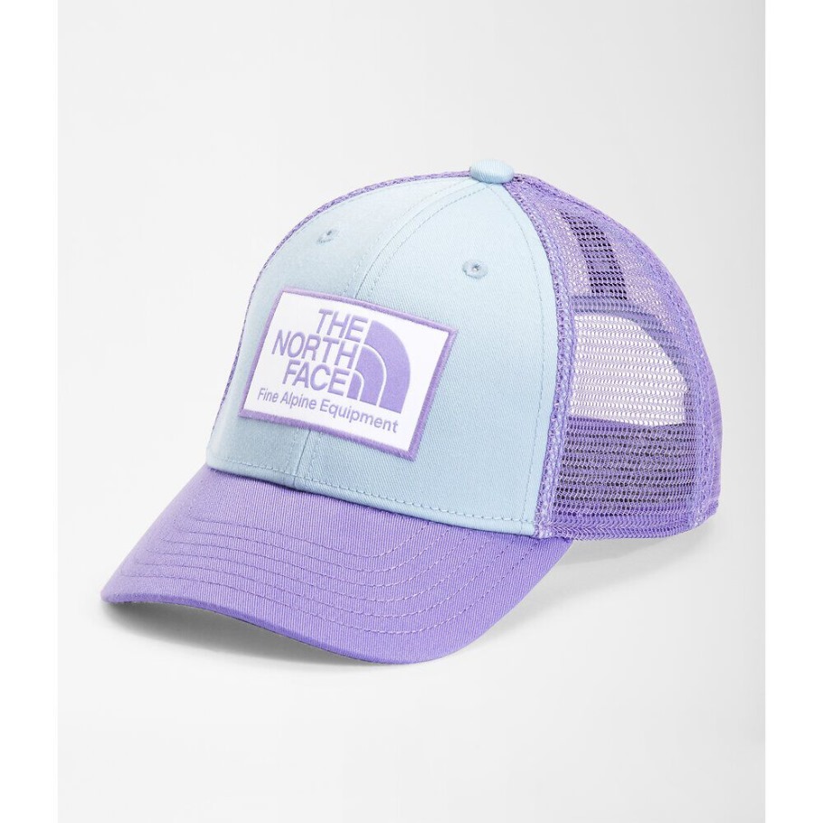 Camionneur Mudder Jeunesse The North Face Beta Blue