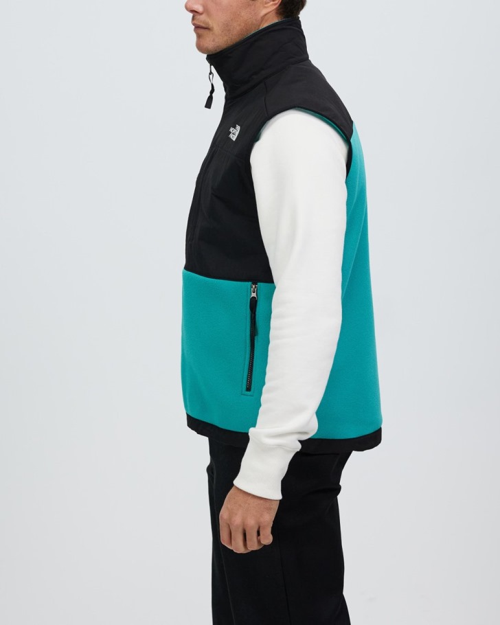 Denali 2 Gilet The North Face Porcelaine Vert